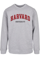 Bluza urban Harvard University - Script Merchcode